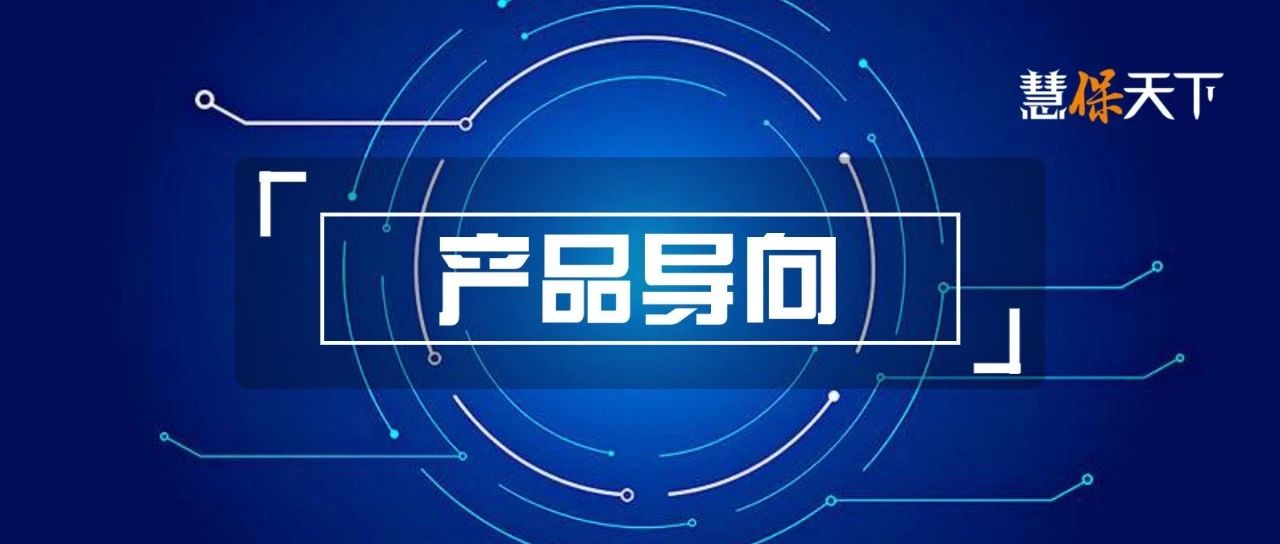 <b><font color='#333333'>人身险产品15年掠影：价格红利出尽，在资本迷局、政策导向中寻找下一个主题</font></b>