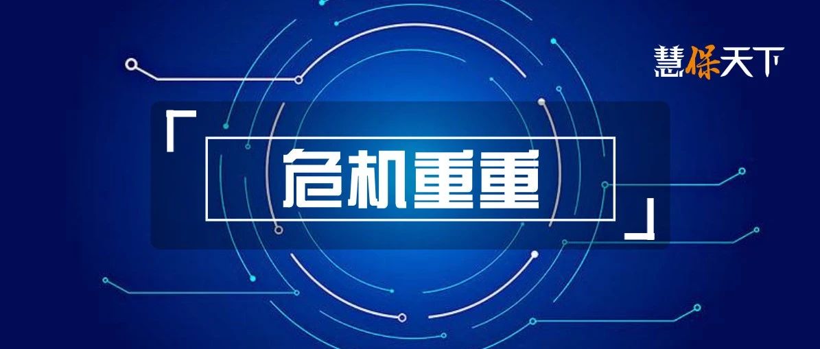 <b><font color='#333333'>影响个险的12重危机</font></b>