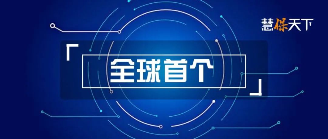 <b><font color='#333333'>新能源汽车专属条款出炉，近80%保单保费持平或下调</font></b>