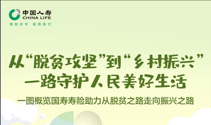 一图概览国寿寿险助力从脱贫之路走向振兴之路