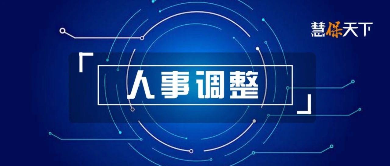 <b><font color='#333333'>新华保险3大高管同时遭免职，或为年轻化铺路，代理人队伍老化同样拖累转型</font></b>