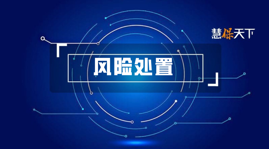 <b>风险处置启示录：怎样拯救一家保险公司｜前瞻十五五①</b>